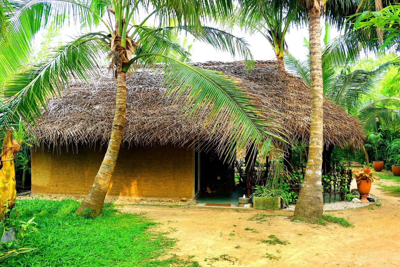 Turtle Watch Cabana Tangalle Kültér fotó